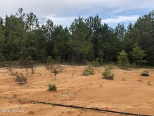 Others property for sale in Wiggins, MS