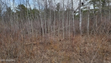 Listing Image #2 - Land for sale at L8.11 Route 405, Westerlo NY 12193