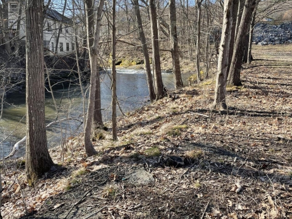 Listing Image #3 - Land for sale at 2500 Route 145, Durham NY 12423