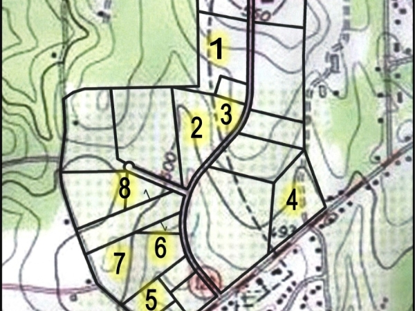 Listing Image #3 - Land for sale at Industrial Park Road, Roberta GA 31078