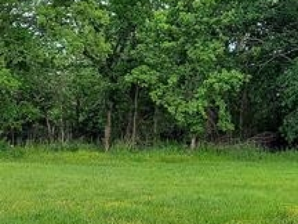 Listing Image #3 - Land for sale at 1429 N Oklahoma Avenue, Okmulgee OK 74447