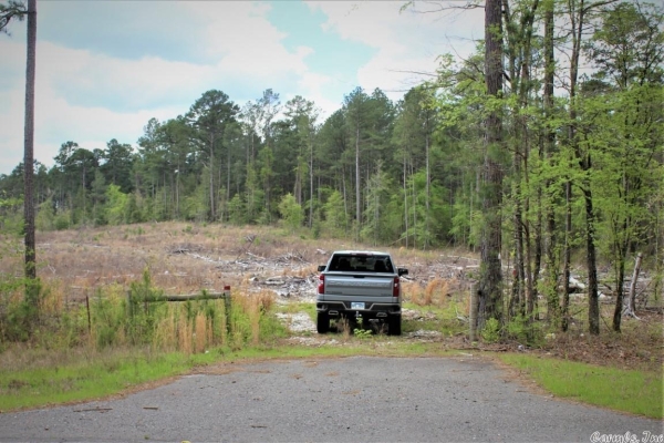 Listing Image #3 - Land for sale at TBD Hwy 8, Amity AR 71921