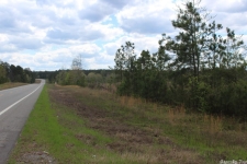 Listing Image #1 - Land for sale at TBD Hwy 8, Amity AR 71921