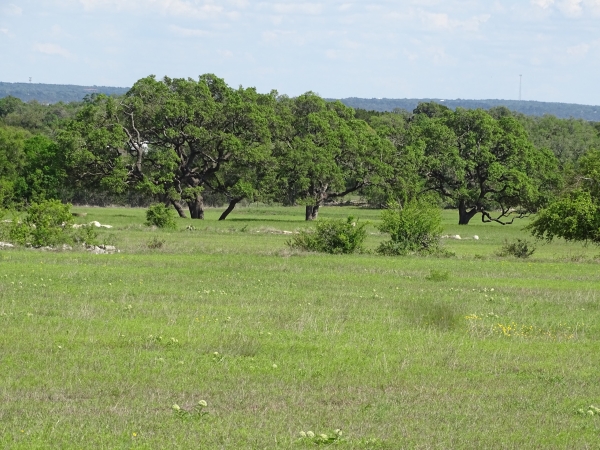 Listing Image #3 - Others for sale at 3551 FM 2325, Wimberley TX 78676