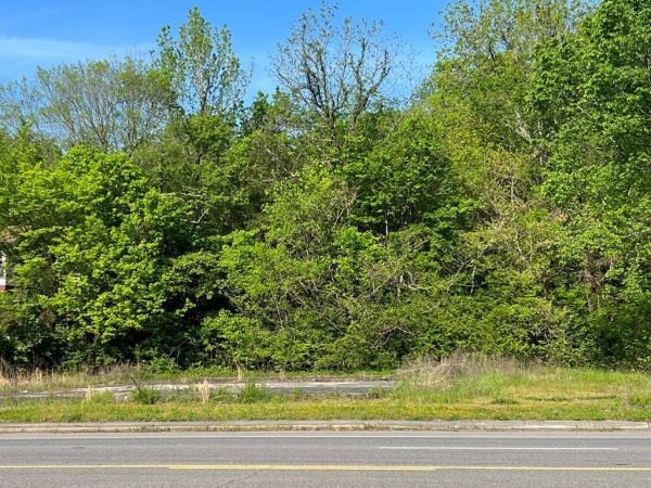 Listing Image #2 - Land for sale at 000 Tennessee Avenue, Etowah TN 37331