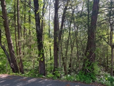 Listing Image #3 - Land for sale at 000 Tennessee Avenue, Etowah TN 37331