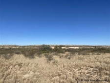 Land property for sale in Carlsbad, NM