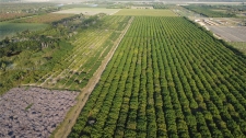 Land property for sale in Homestead, FL
