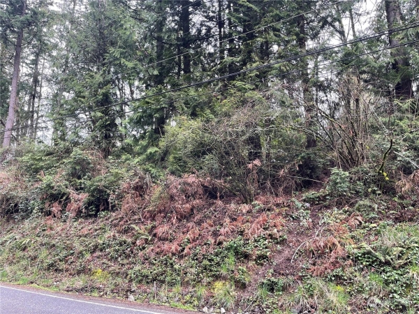Listing Image #3 - Land for sale at SHERMAN HEIGHTS ROAD, BREMERTON WA 98312