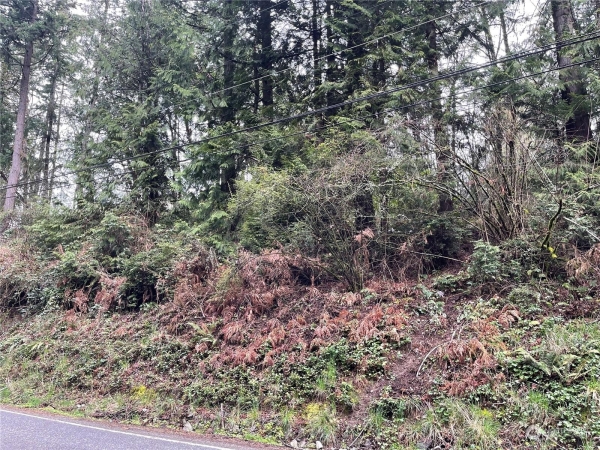 Listing Image #3 - Land for sale at 1111 SHERMAN HEIGHTS ROAD, BREMERTON WA 98312