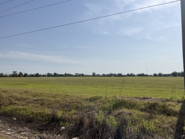 Listing Image #2 - Land for sale at E. Miller Ave 26 Acres, Iowa LA 70647