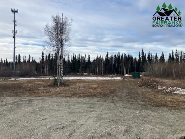 Listing Image #2 - Others for sale at 71 SAINT NICHOLAS DRIVE, North Pole AK 99705