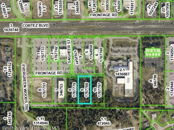 Listing Image #3 - Land for sale at 0 Cortez - Lot 9 Boulevard, Brooksville FL 34613