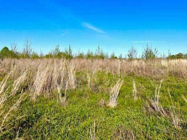 Listing Image #2 - Land for sale at Old Pierce Mill Road Off, Big Clifty KY 42712