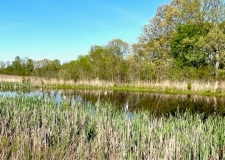 Listing Image #1 - Land for sale at Old Pierce Mill Road Off, Big Clifty KY 42712