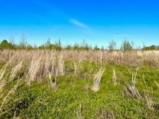 Listing Image #2 - Land for sale at Old Pierce Mill Road Off, Big Clifty KY 42712