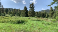 Listing Image #1 - Land for sale at CLEARVIEW LANE, CURLEW WA 99118