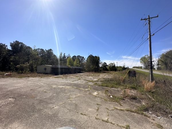 Listing Image #1 - Land for sale at 1038 & 1042 Pinehurst Hawkinsville Rd, Unadilla GA 31070