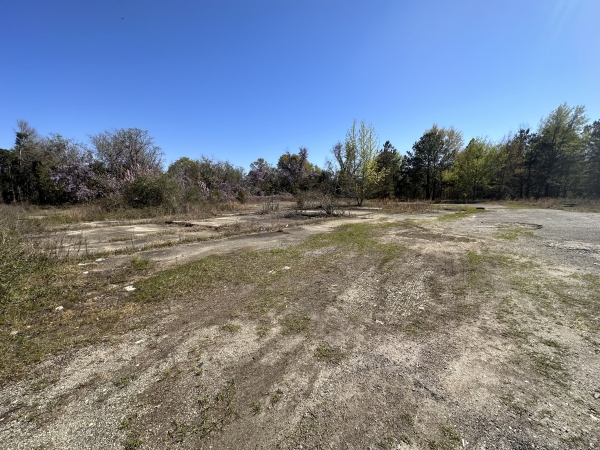 Listing Image #2 - Land for sale at 1038 & 1042 Pinehurst Hawkinsville Rd, Unadilla GA 31070