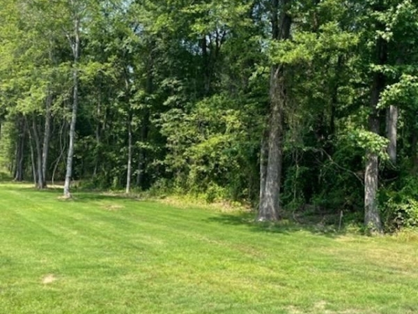 Listing Image #1 - Land for sale at 200 Parcel Horn Lane, Cabot AR 72023