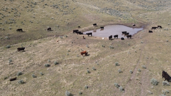 Listing Image #2 - Ranch for sale at 1425 Campbell Street, Baker City OR 97814 Listing Image #2 - Ranch for sale at 1425 Campbell Street, Baker City OR 97814
