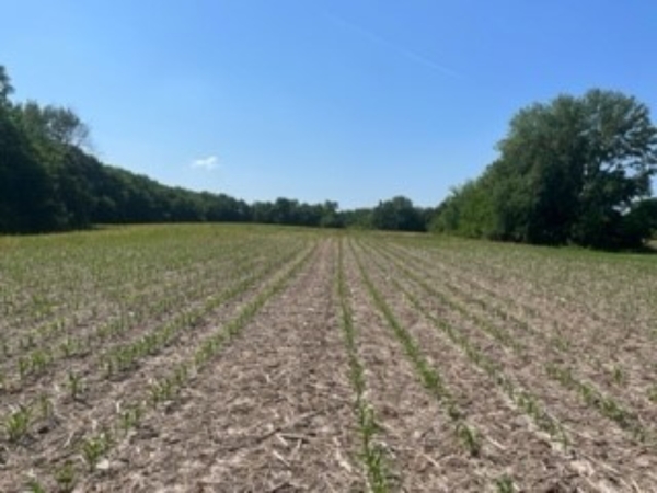 Listing Image #2 - Land for sale at W Fauber Rd, Peoria IL 61607