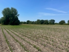 Listing Image #1 - Land for sale at W Fauber Rd, Peoria IL 61607