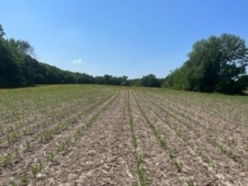 Listing Image #2 - Land for sale at W Fauber Rd, Peoria IL 61607