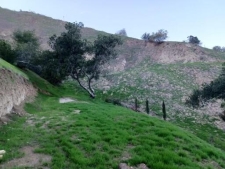 Listing Image #1 - Land for sale at 12253 Forest Trail, SYLMAR CA 91342