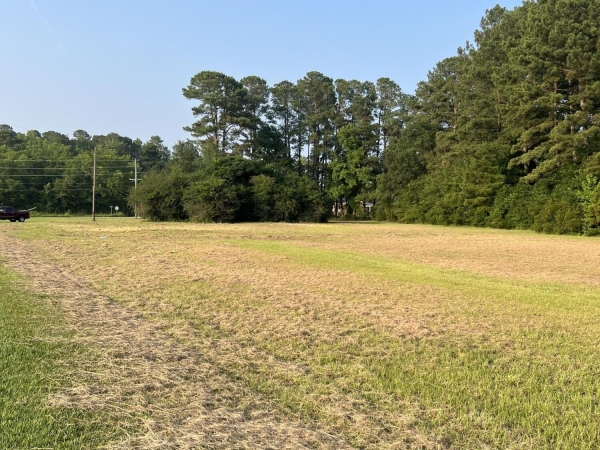 Listing Image #2 - Land for sale at 0 S W R Latham Street, Clarkton NC 28433
