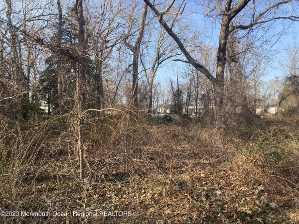 Listing Image #2 - Land for sale at 760 Route 9, Bayville NJ 08721