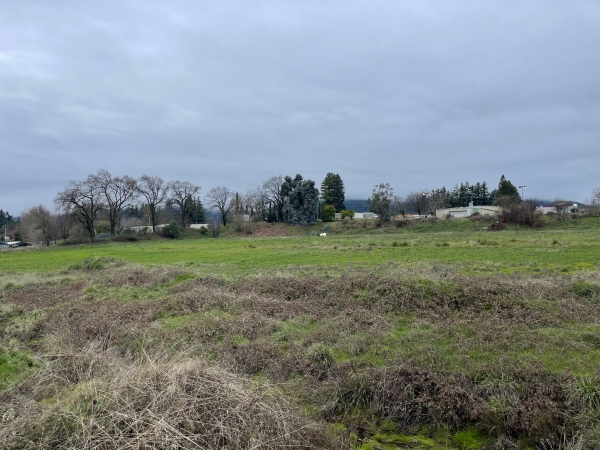 Listing Image #3 - Land for sale at 0 Ford Rd., Ukiah CA 95482 Listing Image #3 - Land for sale at 0 Ford Rd., Ukiah CA 95482