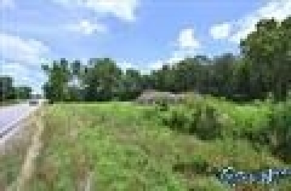 Listing Image #2 - Land for sale at 8.09 Acres Wall Triana Road, Harvest AL 35749