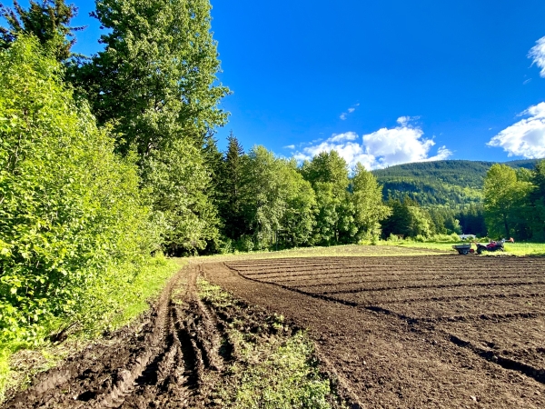 Listing Image #1 - Land for sale at Lot C Orchard Subdivision, Haines AK 99827 Listing Image #1 - Land for sale at Lot C Orchard Subdivision, Haines AK 99827