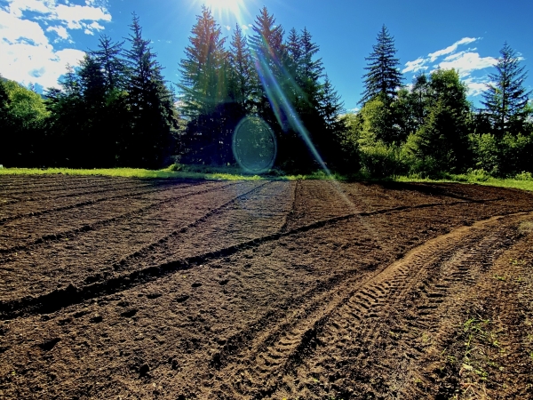 Listing Image #3 - Land for sale at Lot C Orchard Subdivision, Haines AK 99827 Listing Image #3 - Land for sale at Lot C Orchard Subdivision, Haines AK 99827