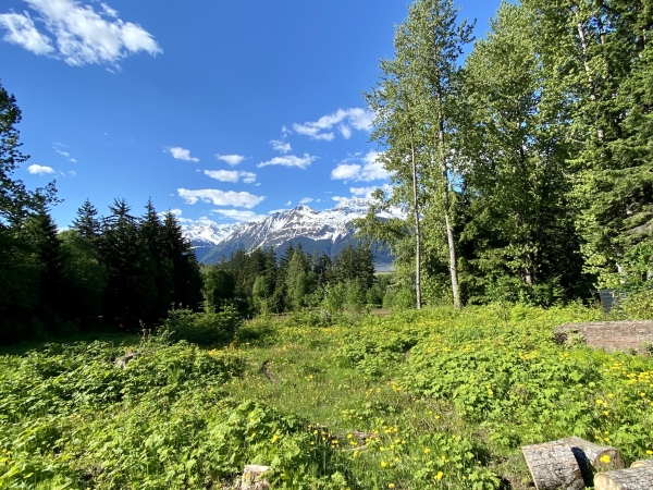 Listing Image #4 - Land for sale at Lot C Orchard Subdivision, Haines AK 99827 Listing Image #4 - Land for sale at Lot C Orchard Subdivision, Haines AK 99827