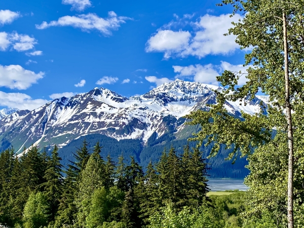 Listing Image #5 - Land for sale at Lot C Orchard Subdivision, Haines AK 99827 Listing Image #5 - Land for sale at Lot C Orchard Subdivision, Haines AK 99827
