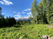Listing Image #4 - Land for sale at Lot C Orchard Subdivision, Haines AK 99827