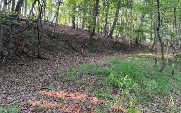 Listing Image #2 - Land for sale at 36 Pine Cove, Murphy NC 28906