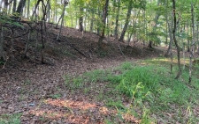 Listing Image #2 - Land for sale at 36 Pine Cove, Murphy NC 28906