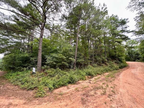 Listing Image #1 - Land for sale at 0 County Road 269, Wedowee AL 36278