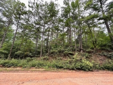 Listing Image #2 - Land for sale at 0 County Road 269, Wedowee AL 36278