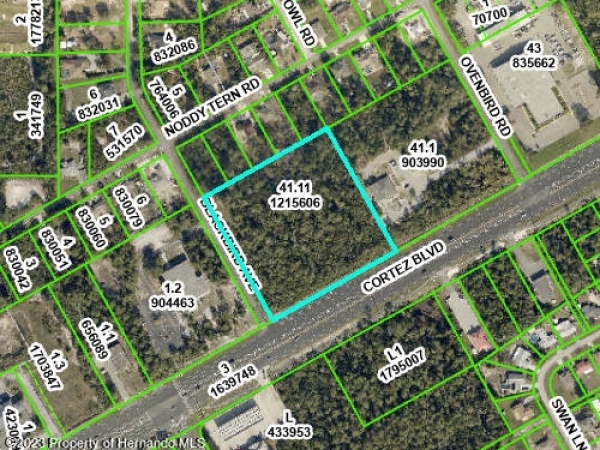 Listing Image #2 - Land for sale at 0 Cortez And Blackbird Boulevard, Brooksville FL 34613