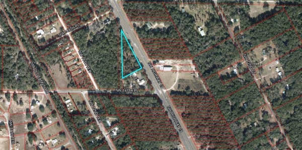 Listing Image #2 - Land for sale at US 19 North, Chiefland FL 32626