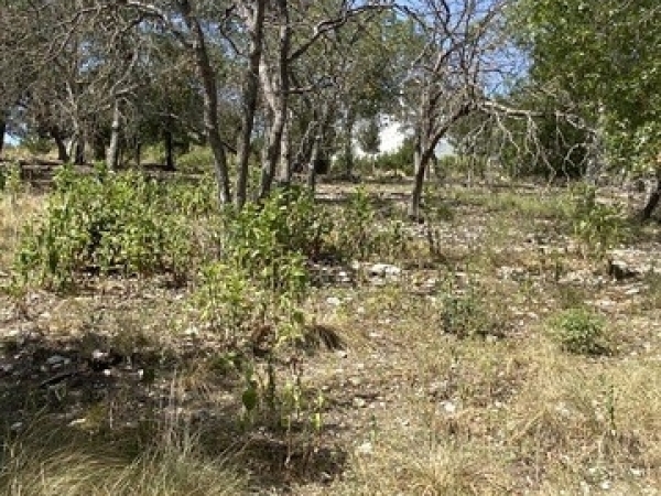 Listing Image #3 - Others for sale at Lots 1-8 Stoneledge Dr, Kerrville TX 78028
