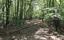 Land property for sale in Young Harris, GA