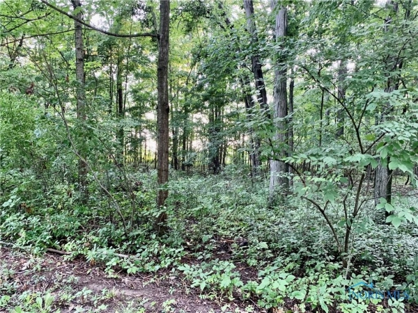 Listing Image #2 - Land for sale at 00 Troon Court, Bryan OH 43506