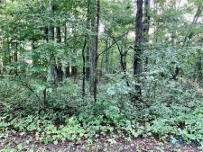 Listing Image #3 - Land for sale at 0 Troon Court, Bryan OH 43506
