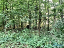 Listing Image #3 - Land for sale at 0 St. Andrews Dr, Bryan OH 43506