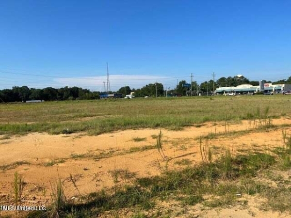 Listing Image #2 - Land for sale at 0 Ventura Drive, Lucedale MS 39452